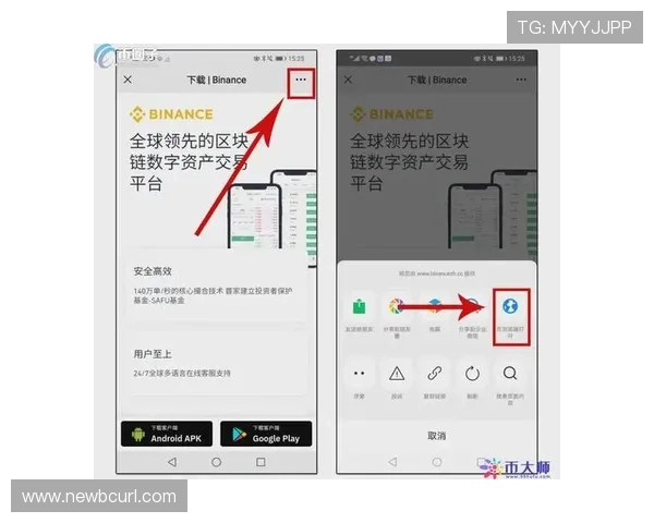 欧博官网登录入口验证码如何正确输入确保登录顺利进行